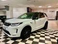 usato LAND ROVER Discovery Sport
