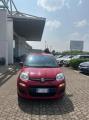 usato FIAT Panda