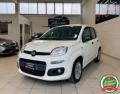 usato FIAT Panda