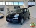 usato FIAT Panda