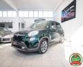 usato FIAT 500L