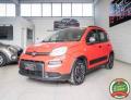 usato FIAT Panda