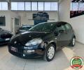 usato FIAT Punto
