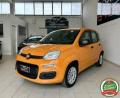 usato FIAT Panda