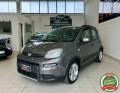usato FIAT Panda