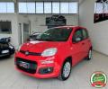 usato FIAT Panda