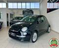 usato FIAT 500