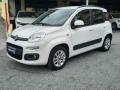 usato FIAT Panda