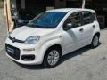usato FIAT Panda