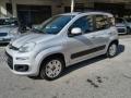 usato FIAT Panda