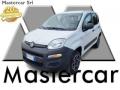 usato FIAT Panda