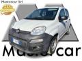 usato FIAT Panda