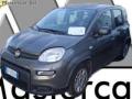 usato FIAT Panda