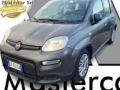 usato FIAT Panda