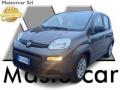 usato FIAT Panda