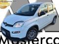 usato FIAT Panda