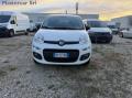 usato FIAT Panda