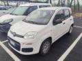 usato FIAT Panda