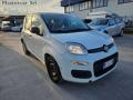 usato FIAT Panda