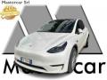 usato TESLA Model Y