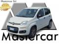 usato FIAT Panda