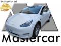 usato TESLA Model Y