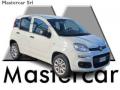 usato FIAT Panda