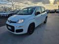 usato FIAT Panda