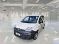 usato FIAT Panda