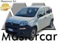 usato FIAT Panda