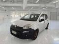 usato FIAT Panda