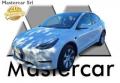 usato TESLA Model Y