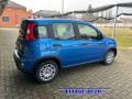 nuovo FIAT Panda