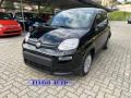 nuovo FIAT Panda