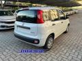 nuovo FIAT Panda