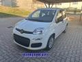 nuovo FIAT Panda