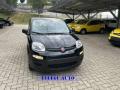 nuovo FIAT Panda
