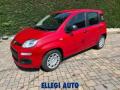 nuovo FIAT Panda
