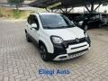 nuovo FIAT Pandina