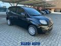 nuovo FIAT Panda