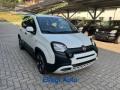 usato FIAT Pandina