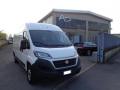 usato FIAT Ducato