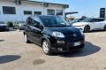 usato FIAT Panda