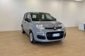 usato FIAT Panda