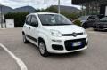 usato FIAT Panda