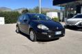 usato FIAT Punto