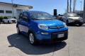 usato FIAT Panda