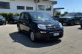 usato FIAT Panda