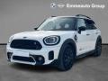 usato MINI Countryman