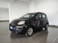 usato FIAT Panda